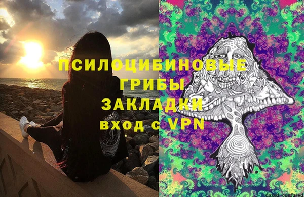 мяу мяу мука Верея