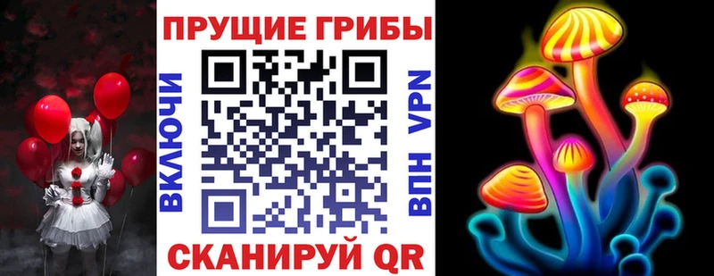 Псилоцибиновые грибы Cubensis  Грозный 