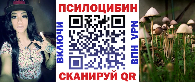 Псилоцибиновые грибы Magic Shrooms Грозный